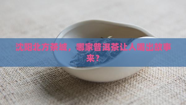 沈阳北方茶城哪家卖普洱茶