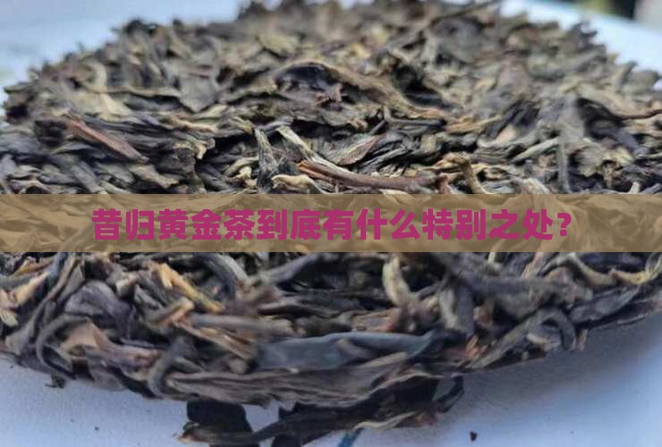 昔归黄金茶有哪些特点