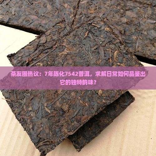 经典7542普洱茶