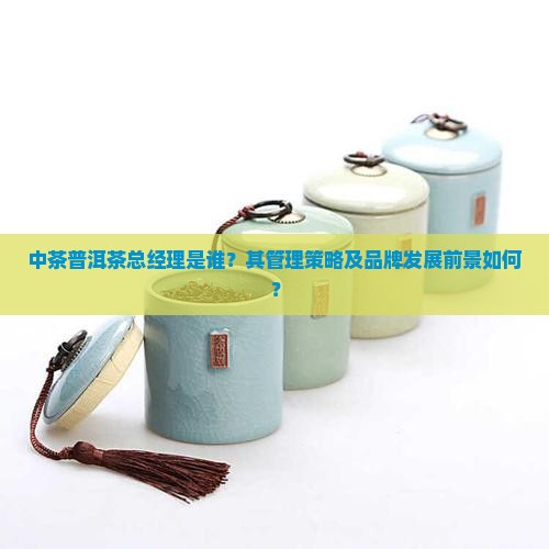 中茶普洱茶总经理