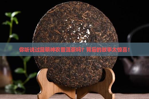 昆明神农普洱茶