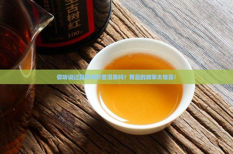 昆明神农普洱茶
