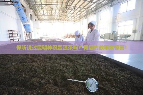 昆明神农普洱茶
