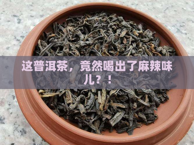 口感刺激的普洱茶