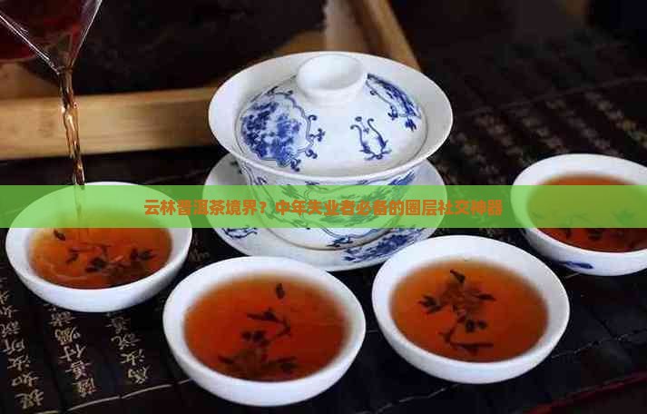 云林普洱茶境界