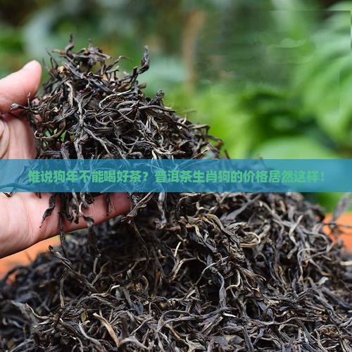 普洱茶生肖狗洱茶价格