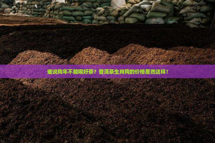 普洱茶生肖狗洱茶价格