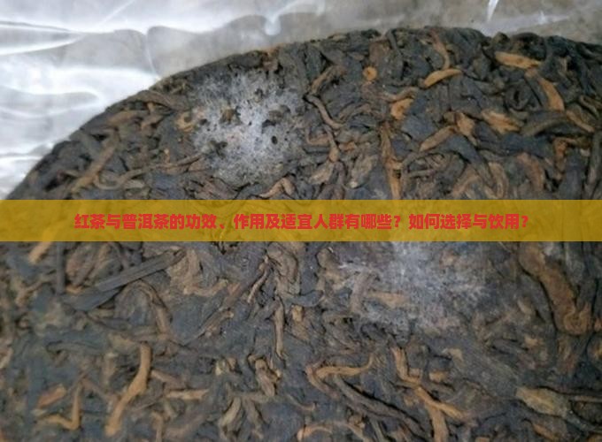 红茶普洱茶作用与功效与作用