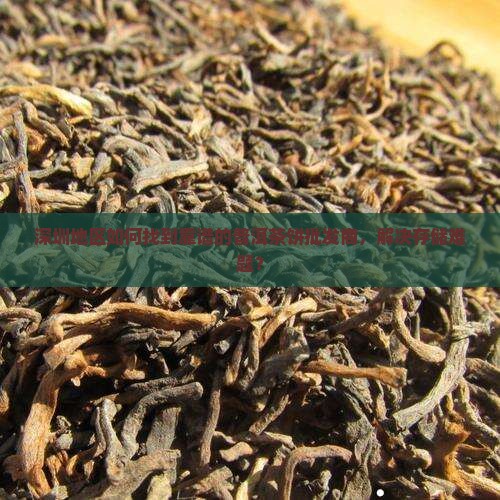 深圳储藏普洱茶饼批发商