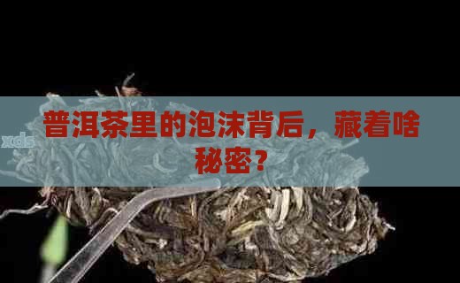 中国普洱茶泡沫多不多的原因