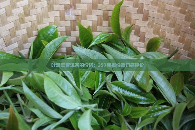 叶难忘普洱茶的价格