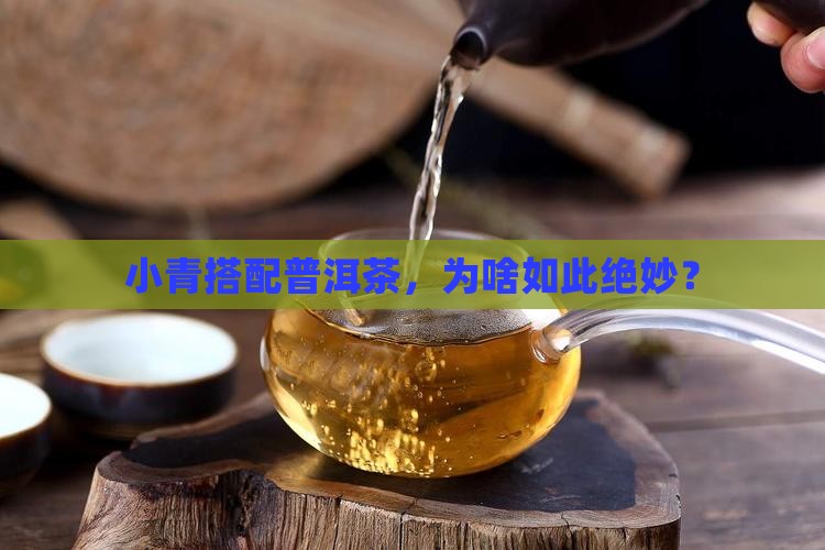 小青柑为啥和普洱茶搭配 小青柑为啥和普洱茶搭配