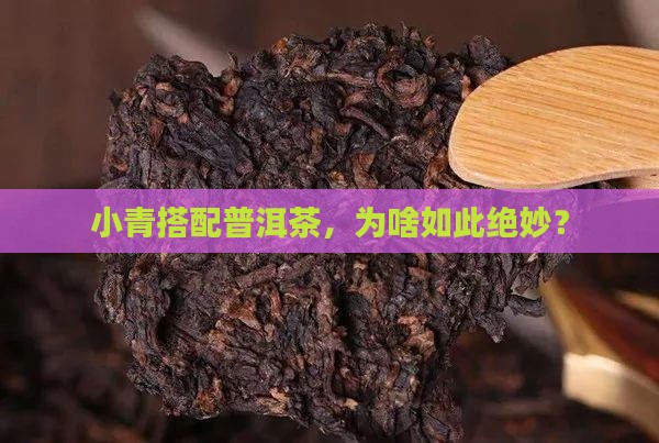 小青柑为啥和普洱茶搭配 小青柑为啥和普洱茶搭配