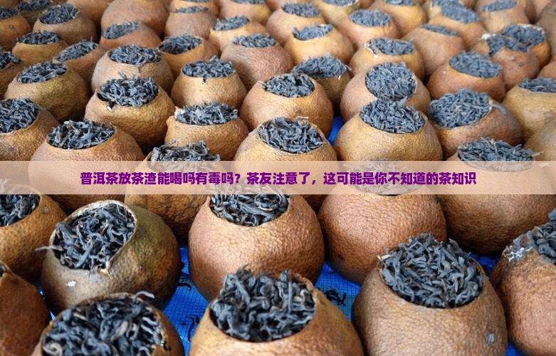 普洱茶放茶渣能喝吗有毒吗