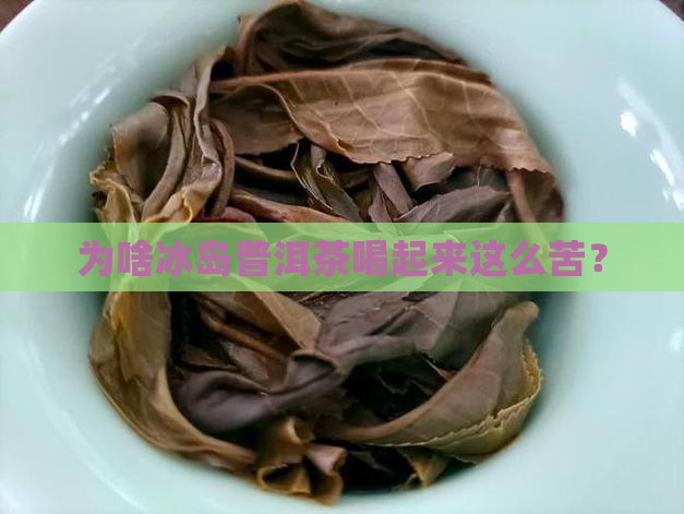 冰岛普洱茶咋喝的苦呢