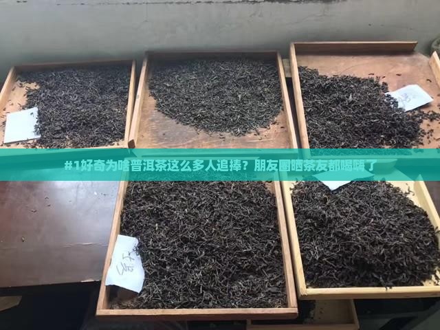 普洱茶是这么红吗