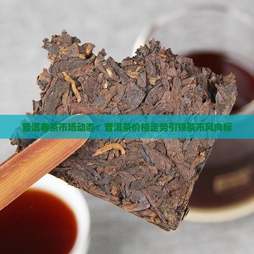 普洱茶春茶市场