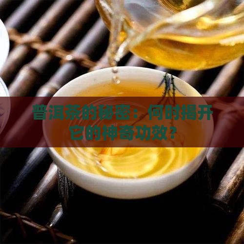 普洱茶什么时候起作用