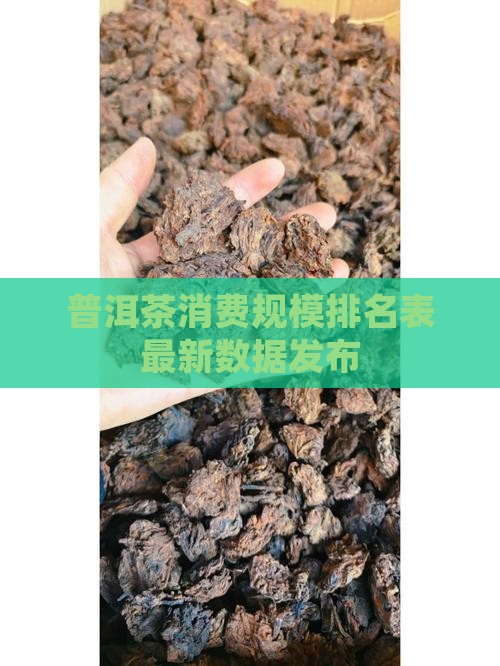 普洱茶消费规模排名表最新