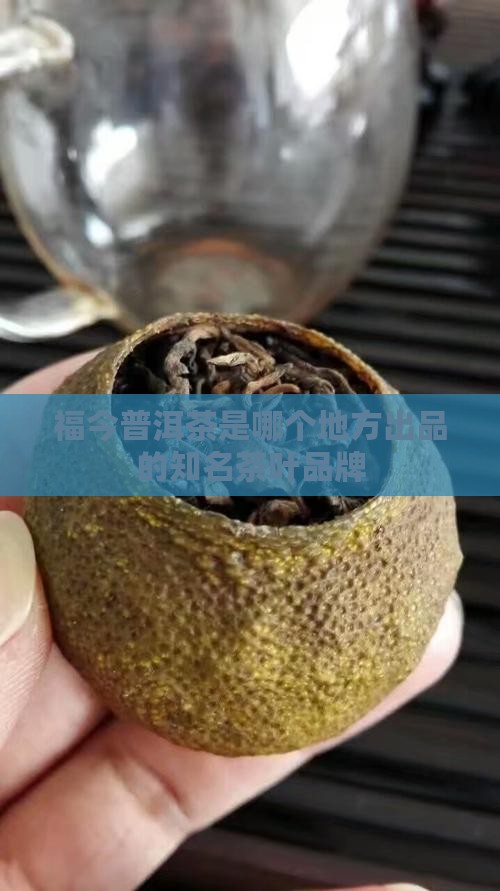 福今普洱茶是哪个地方