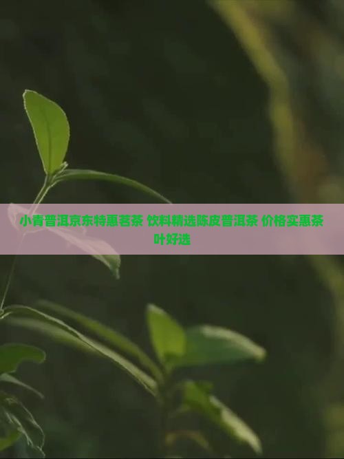 青柑普洱茶陈皮普洱