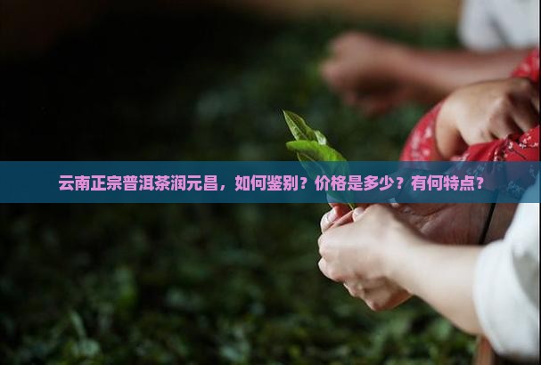 云南正宗普洱茶润元昌