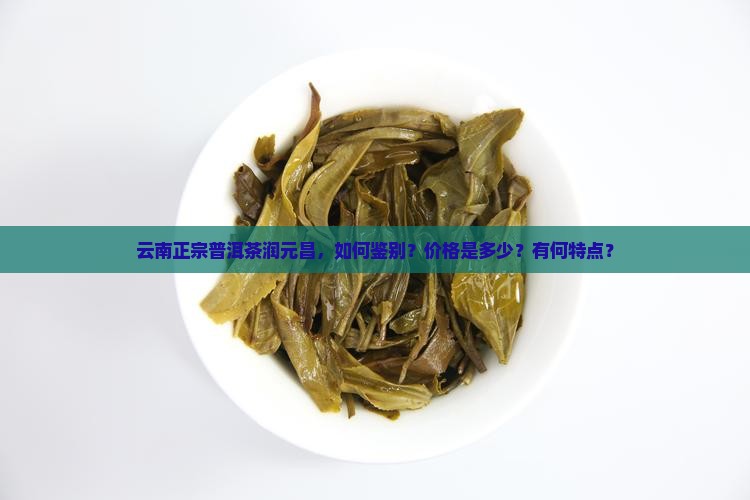 云南正宗普洱茶润元昌