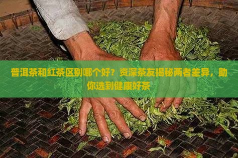 普洱茶和红茶区别哪个好