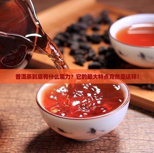 普洱茶的最大的特点是哪些