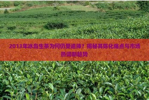 2013年冰岛生茶