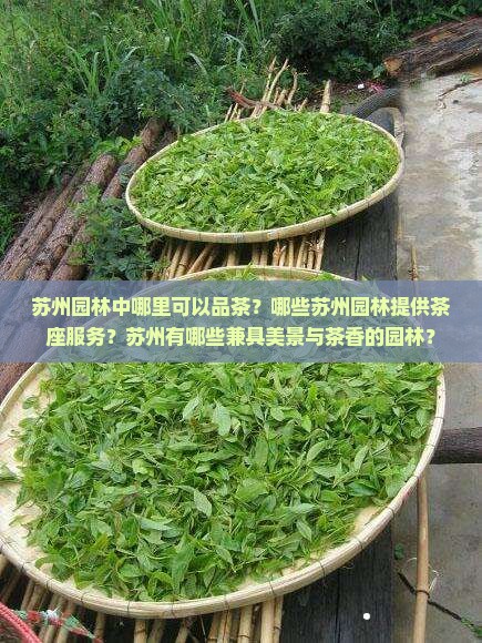 苏州可以喝茶的园林