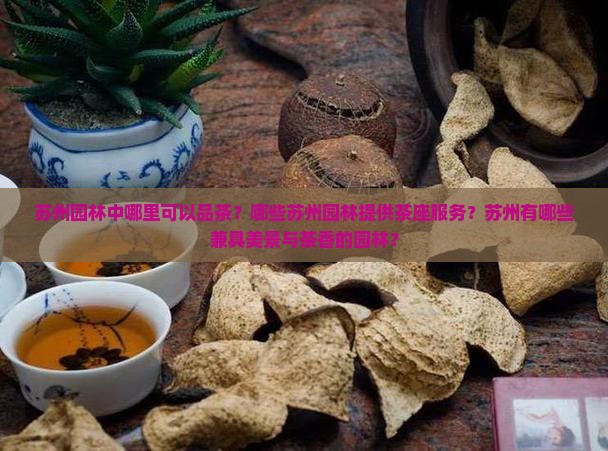 苏州可以喝茶的园林