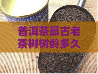 普洱茶最古老茶树树龄多久