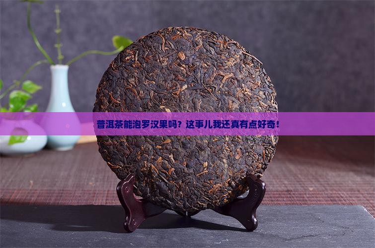 普洱茶泡罗汉果吗