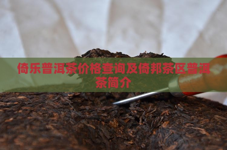 倚乐普洱茶价格