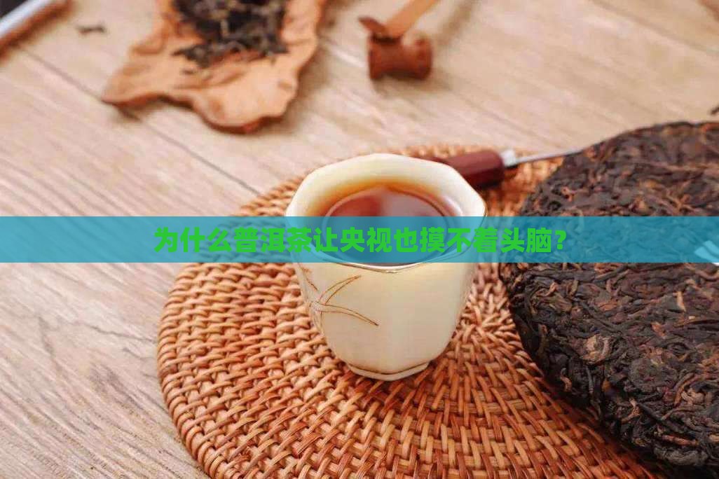 看不懂的普洱茶央视