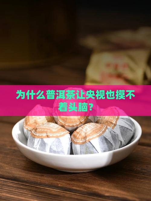 看不懂的普洱茶央视