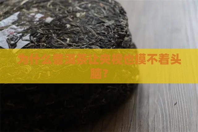 看不懂的普洱茶央视