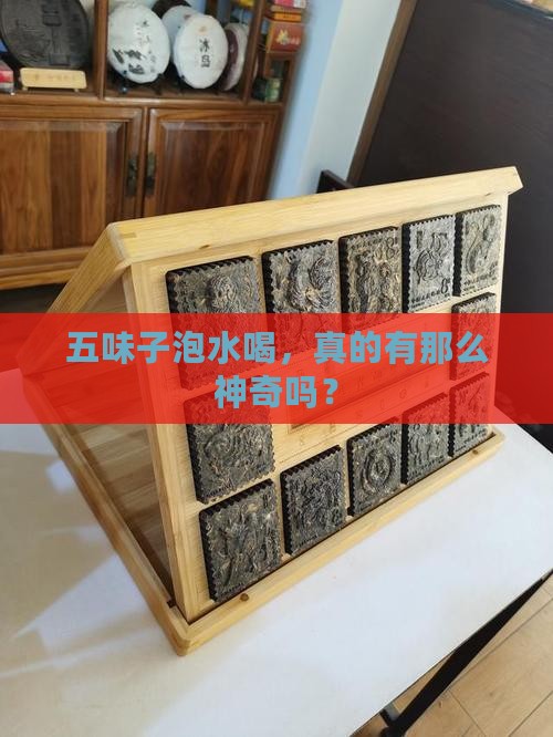 五味子能当茶喝吗