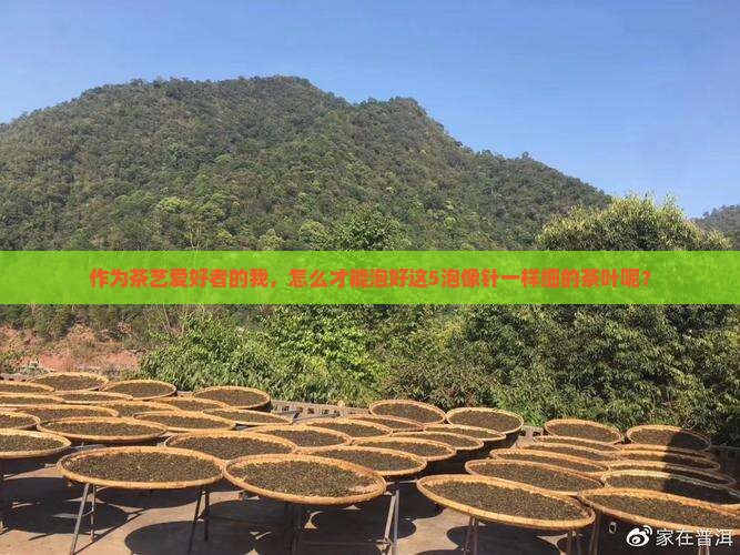 一根一根像针一样的茶叶