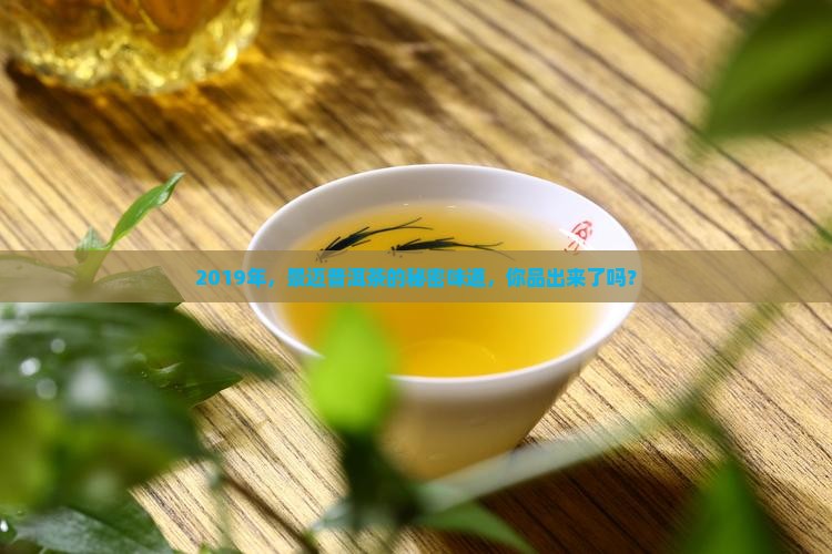 2019普洱茶景迈口感