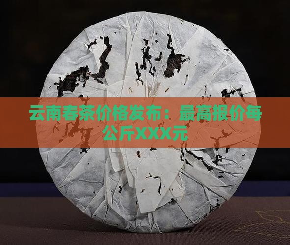今年云南春茶价格