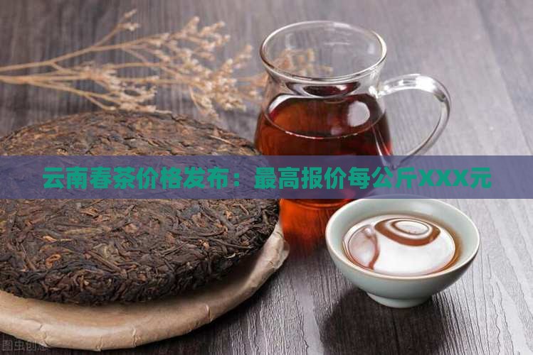 今年云南春茶价格