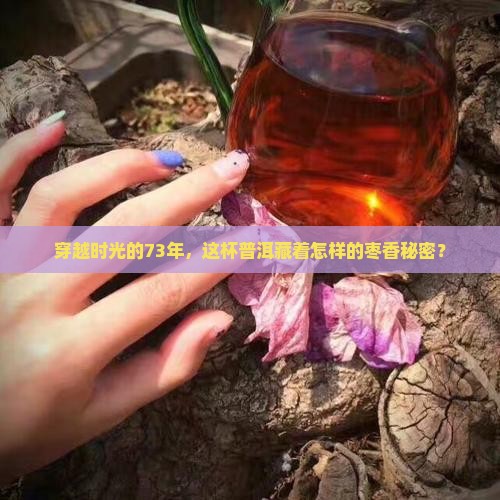 73枣香普洱茶