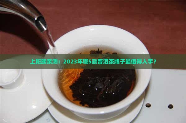 现在普洱茶什么牌子的好