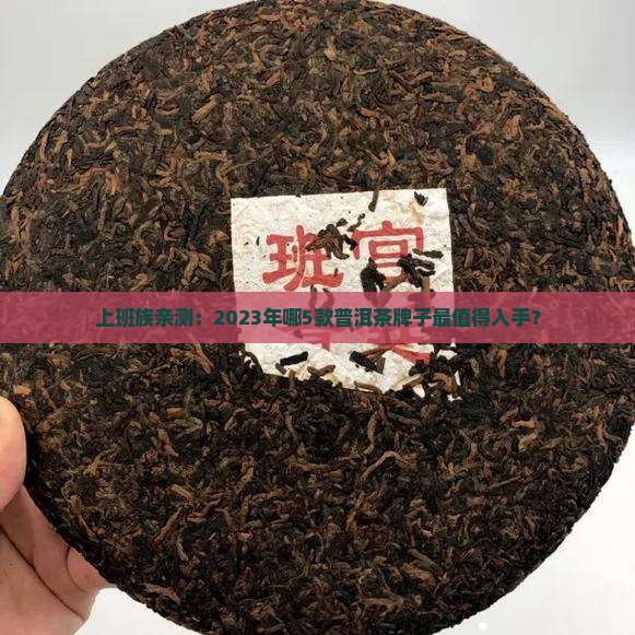 现在普洱茶什么牌子的好