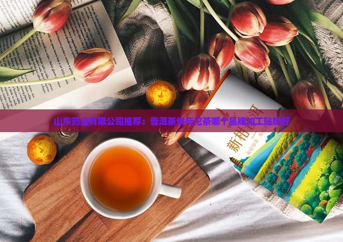 普洱茶饼陀哪个好
