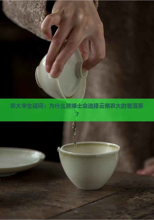 熊博士普洱茶云南农大