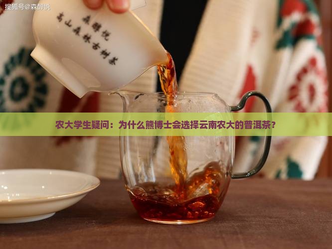 熊博士普洱茶云南农大