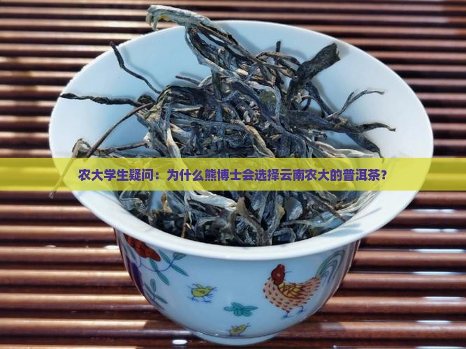 熊博士普洱茶云南农大